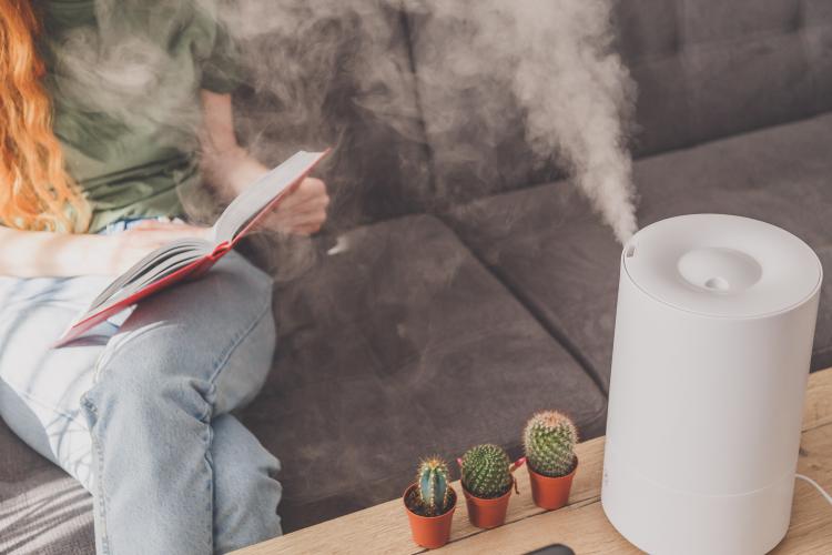 main of Humidifiers Can Help Avoid Dry Air and the Negatives That Brings