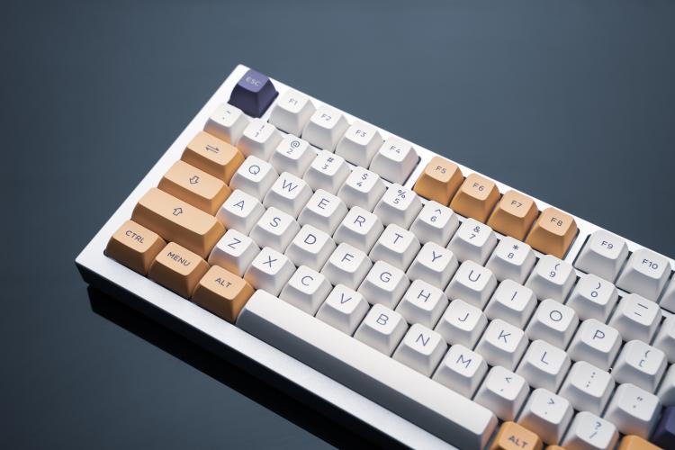 main of <h1>The Tactile Feeling of a Mechanical Keyboard Appeals to Many People</h1>