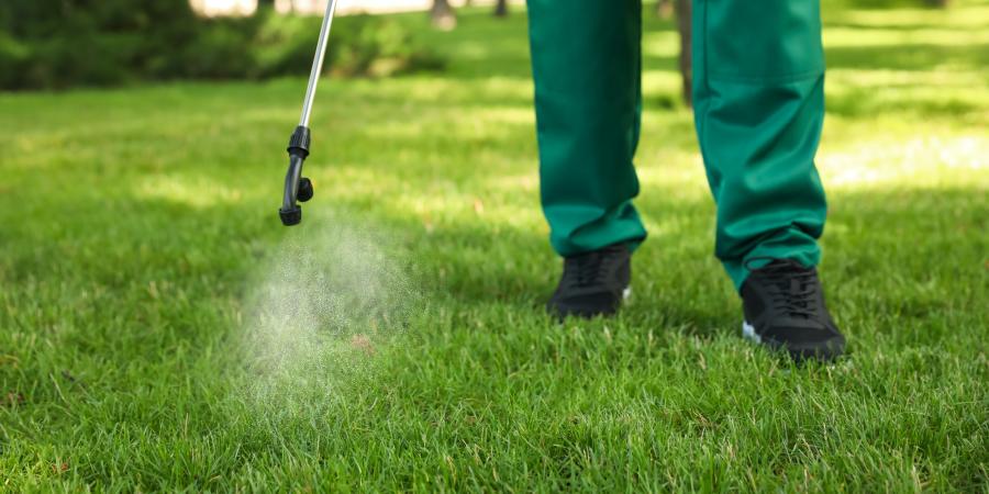 banner of Caring For a Lawn Properly Takes Some Knowledge